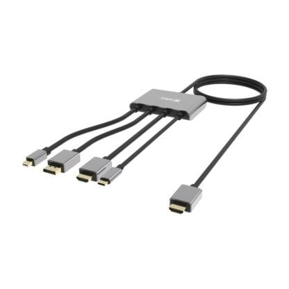 Sandberg All-In-1 Display Adapter Hub 2