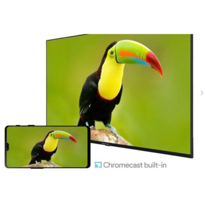 ProCaster 65Q951H 65″ 4K Android QLED -televisio 5