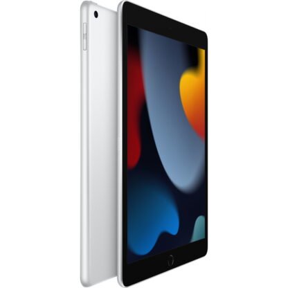 Apple iPad 10.2 (9. sukupolvi) 256GB Wi-Fi 2021 Silver 3